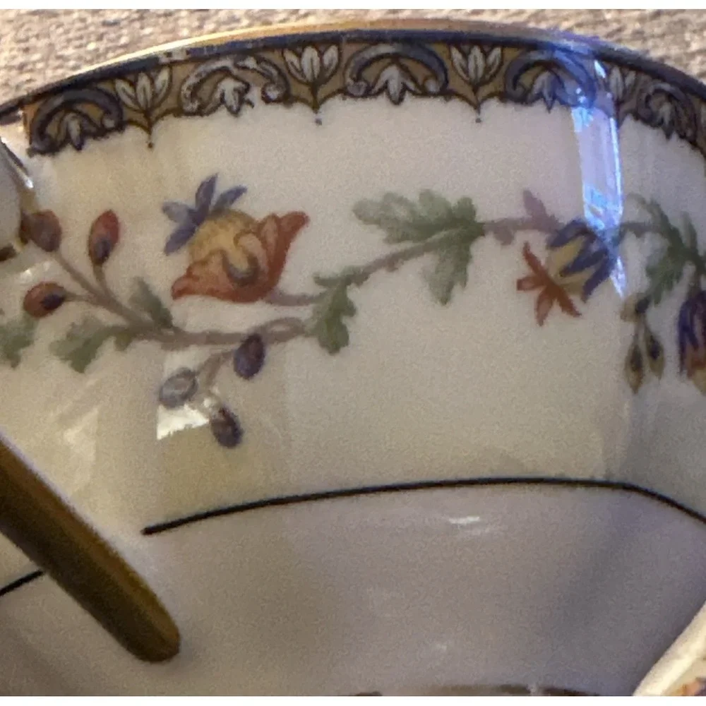 Theodore Haviland Limoges Chateaudun Cup & Saucer Set